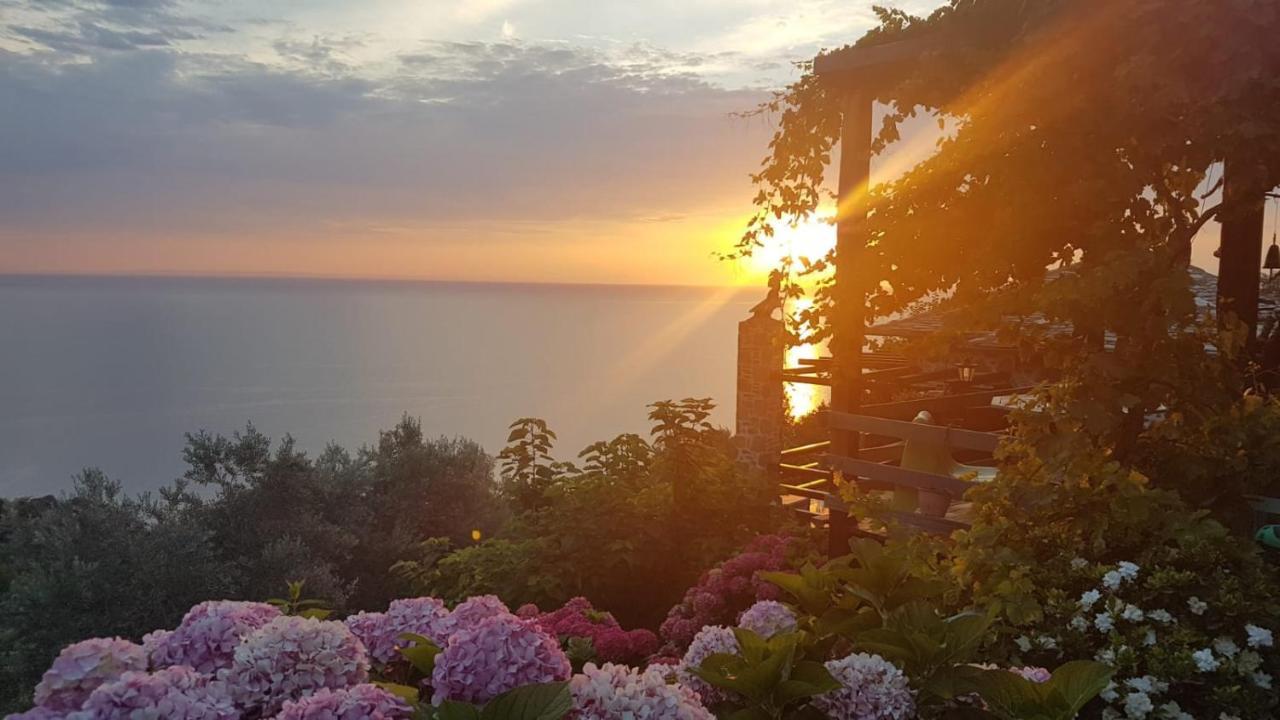 ザゴラ Analipsi Sea View Hommesヴィラ エクステリア 写真